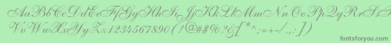 ShelleyallegroscriptNormal Font – Gray Fonts on Green Background