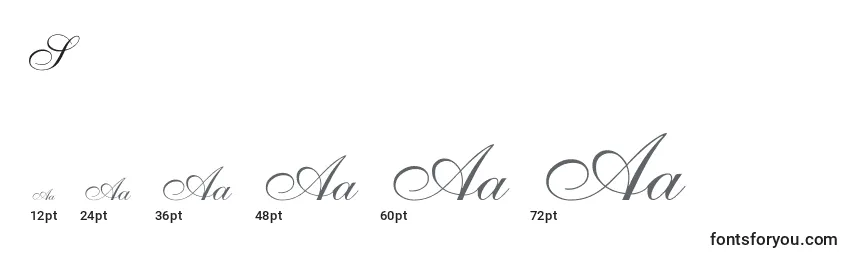 ShelleyallegroscriptNormal Font Sizes