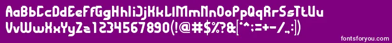 FlyingBird Font – White Fonts on Purple Background