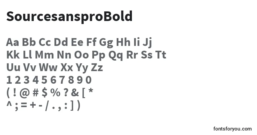 Fuente SourcesansproBold - alfabeto, números, caracteres especiales