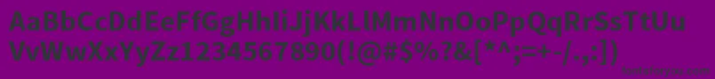 SourcesansproBold Font – Black Fonts on Purple Background