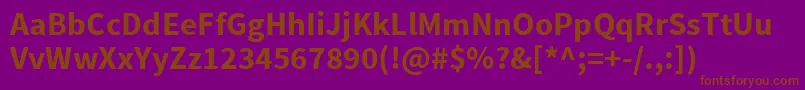 SourcesansproBold Font – Brown Fonts on Purple Background