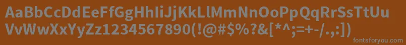 Шрифт SourcesansproBold – серые шрифты на коричневом фоне