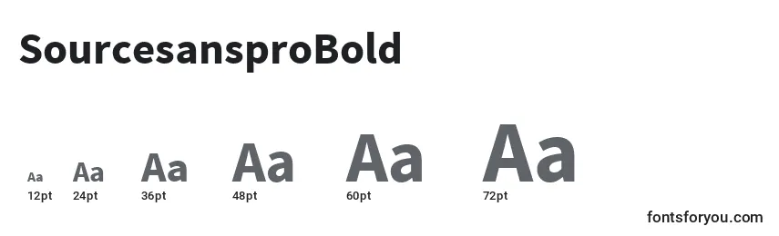 SourcesansproBold Font Sizes