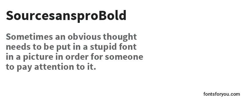 SourcesansproBold Font