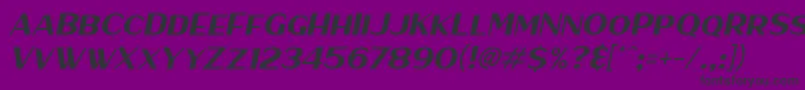 HaarlemSansItalic Font – Black Fonts on Purple Background