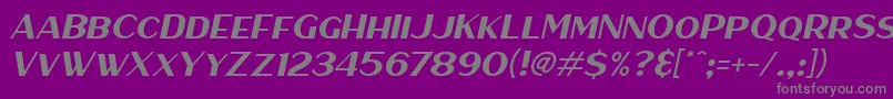 HaarlemSansItalic Font – Gray Fonts on Purple Background