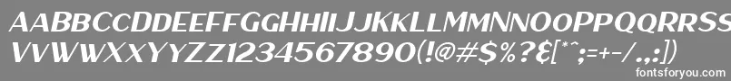 フォントHaarlemSansItalic – 灰色の背景に白い文字