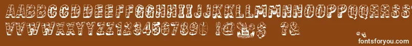 StoneBlock Font – White Fonts on Brown Background