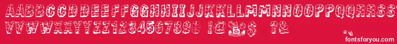 StoneBlock Font – White Fonts on Red Background