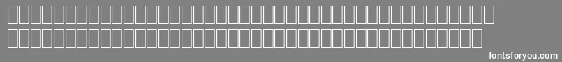 Wphv06na Font – White Fonts on Gray Background