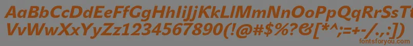 JohnsansMediumProBoldItalic Font – Brown Fonts on Gray Background