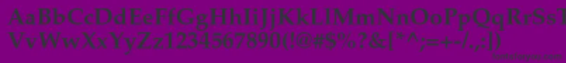 PalatinoltstdBold Font – Black Fonts on Purple Background