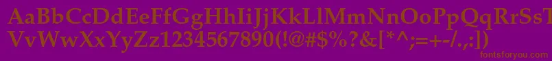 PalatinoltstdBold Font – Brown Fonts on Purple Background