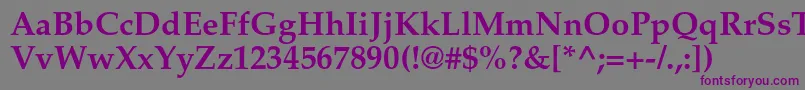 PalatinoltstdBold Font – Purple Fonts on Gray Background