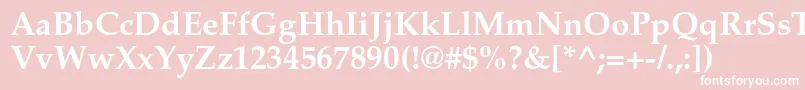 PalatinoltstdBold Font – White Fonts on Pink Background