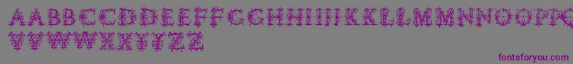 Шрифт Vespasiansflorials – фиолетовые шрифты на сером фоне