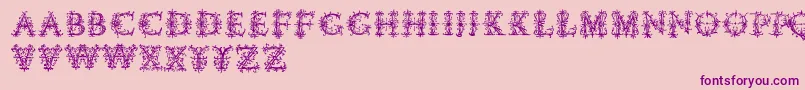 Vespasiansflorials Font – Purple Fonts on Pink Background