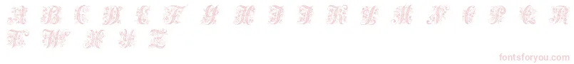 Шрифт Victorianinitials1 – розовые шрифты