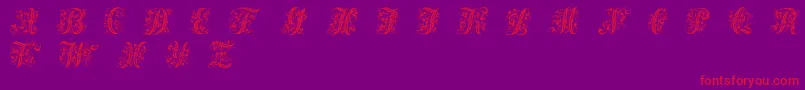 Шрифт Victorianinitials1 – красные шрифты на фиолетовом фоне