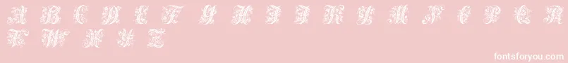 Fonte Victorianinitials1 – fontes brancas em um fundo rosa
