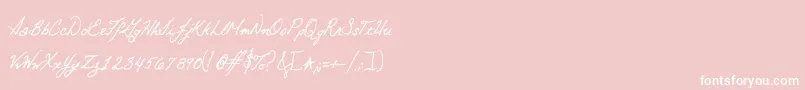 Otto Font – White Fonts on Pink Background