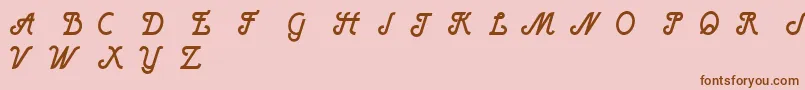 HenryBoldItalic Font – Brown Fonts on Pink Background