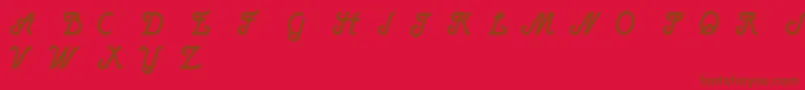HenryBoldItalic Font – Brown Fonts on Red Background