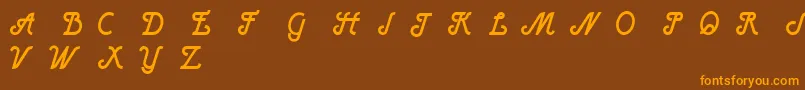 HenryBoldItalic Font – Orange Fonts on Brown Background