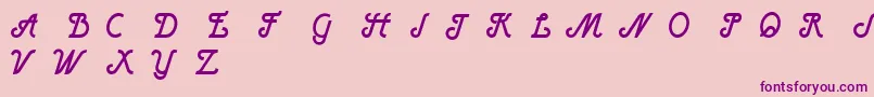 HenryBoldItalic Font – Purple Fonts on Pink Background