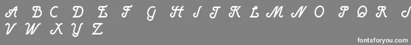 フォントHenryBoldItalic – 灰色の背景に白い文字