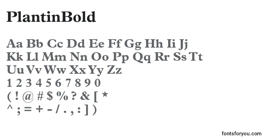 Czcionka PlantinBold – alfabet, cyfry, specjalne znaki