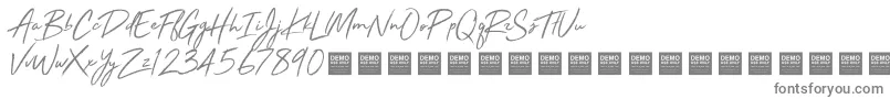 StayRadDemo-Schriftart – Graue Schriften auf weißem Hintergrund