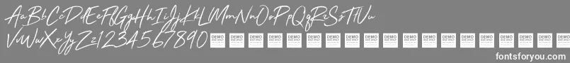 StayRadDemo-Schriftart – Weiße Schriften auf grauem Hintergrund