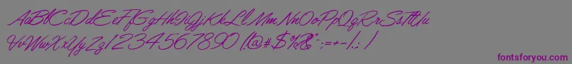 LisbonScript Font – Purple Fonts on Gray Background
