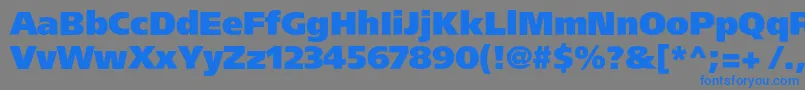 Agforeignerxc Font – Blue Fonts on Gray Background