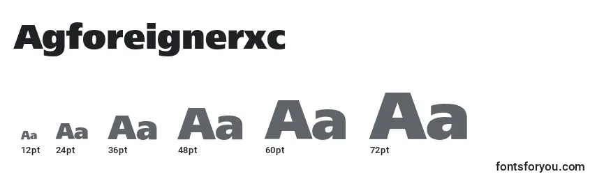 Agforeignerxc Font Sizes