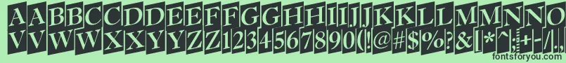 Antiq15 Font – Black Fonts on Green Background