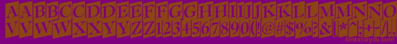 Antiq15 Font – Brown Fonts on Purple Background