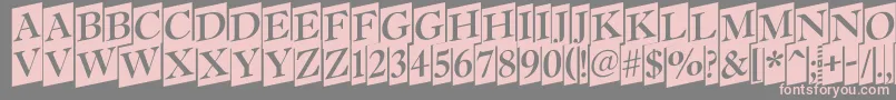 Antiq15 Font – Pink Fonts on Gray Background