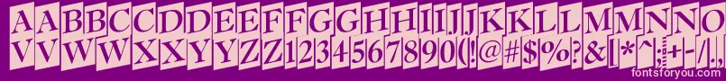 Antiq15 Font – Pink Fonts on Purple Background