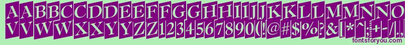 Antiq15 Font – Purple Fonts on Green Background