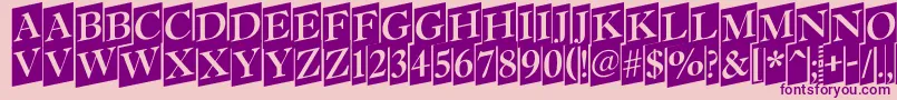 Antiq15 Font – Purple Fonts on Pink Background