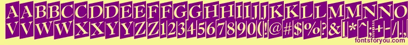 Antiq15 Font – Purple Fonts on Yellow Background