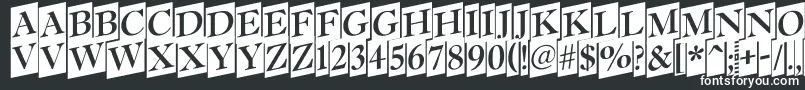 Antiq15 Font – White Fonts