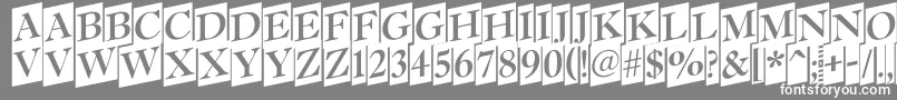 フォントAntiq15 – 灰色の背景に白い文字