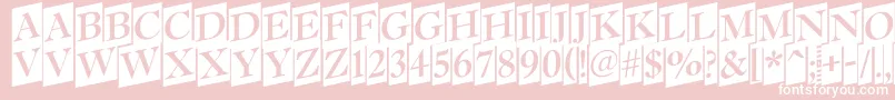 Antiq15 Font – White Fonts on Pink Background