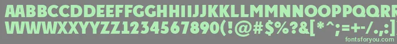 フォントAPlakattitulExtrabold – 灰色の背景に緑のフォント