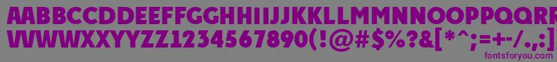 APlakattitulExtrabold Font – Purple Fonts on Gray Background
