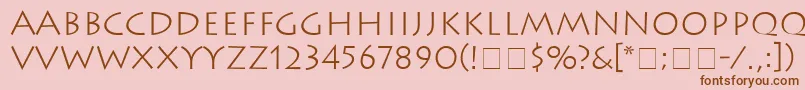 AustereLightSsiLight Font – Brown Fonts on Pink Background